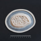Large Wound - Silicone makeup prosthetic in vanilla shade on a black surface with a ruler