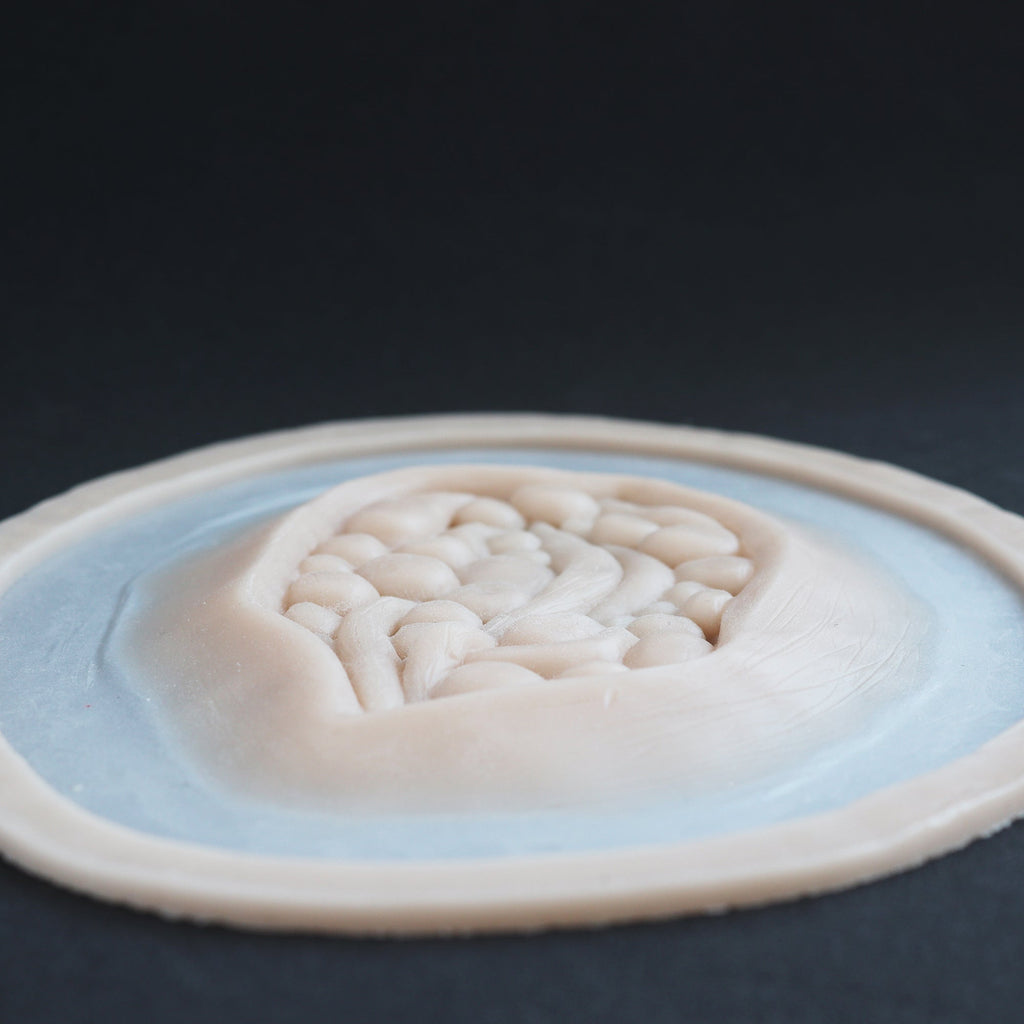 Large Wound - Silicone makeup prosthetic in vanilla shade on a black surface