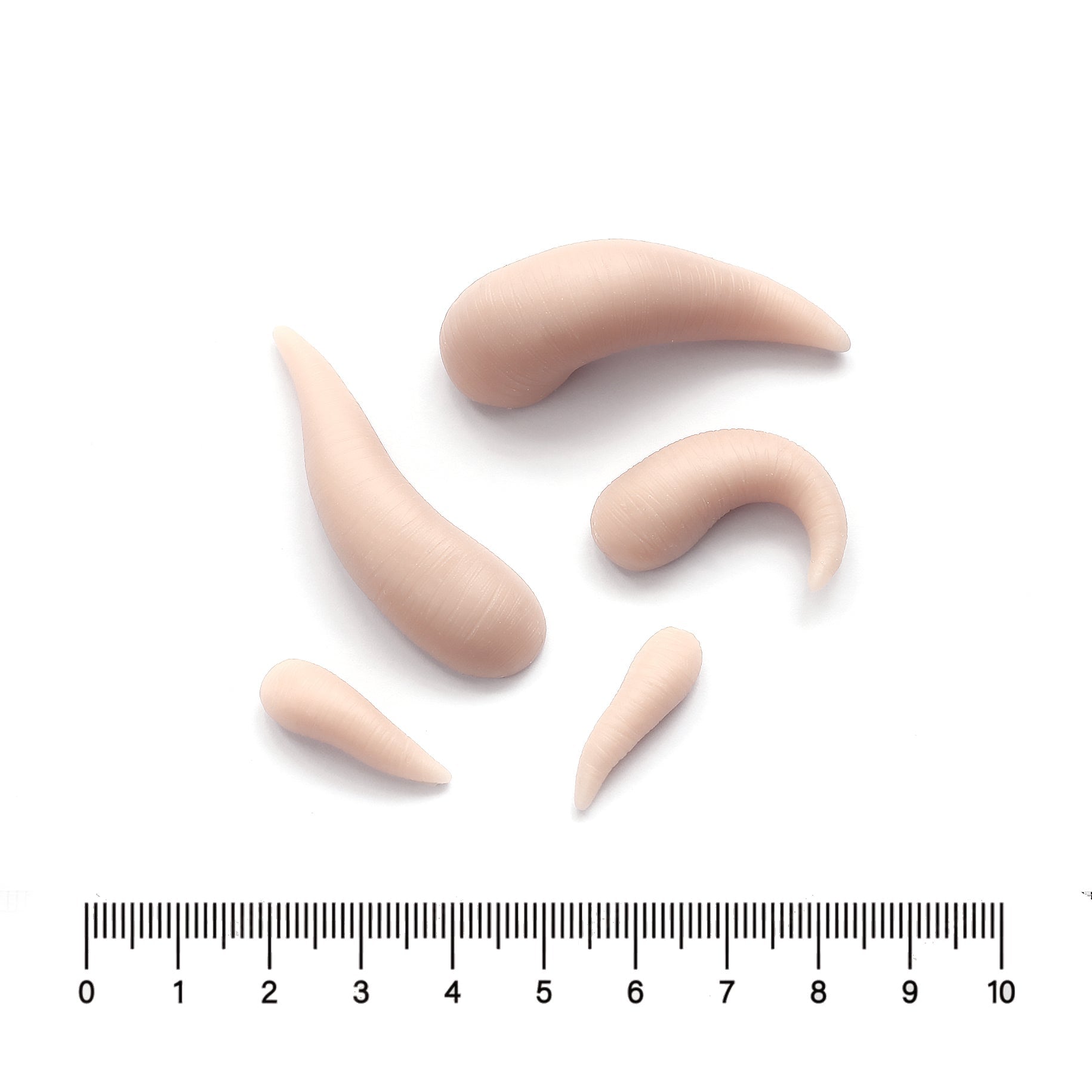 Leeches - Silicone makeup prosthetic in vanilla shade on a white surface with a ruler