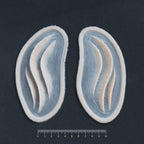 Mermaid Gills (Pair) - Silicone makeup prosthetic in vanilla shade on a black surface with a ruler