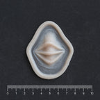 Nose Bridge Ridges - Silicone makeup prosthetic in vanilla shade on a black surface with a ruler