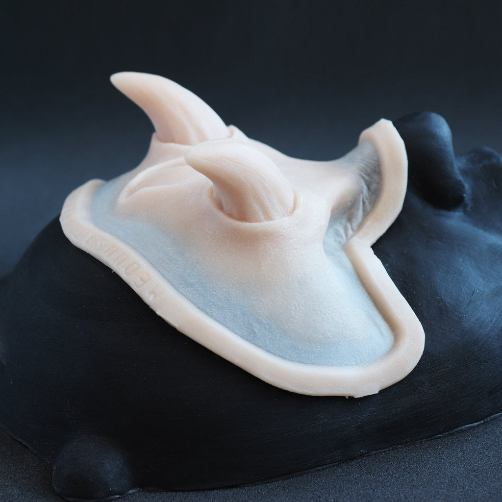 Oni Brow silicone prosthetic in vanilla shade on a black surface at an angle