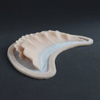 Ruffle Gills (Pair) - Silicone makeup prosthetic in vanilla shade on a black surface