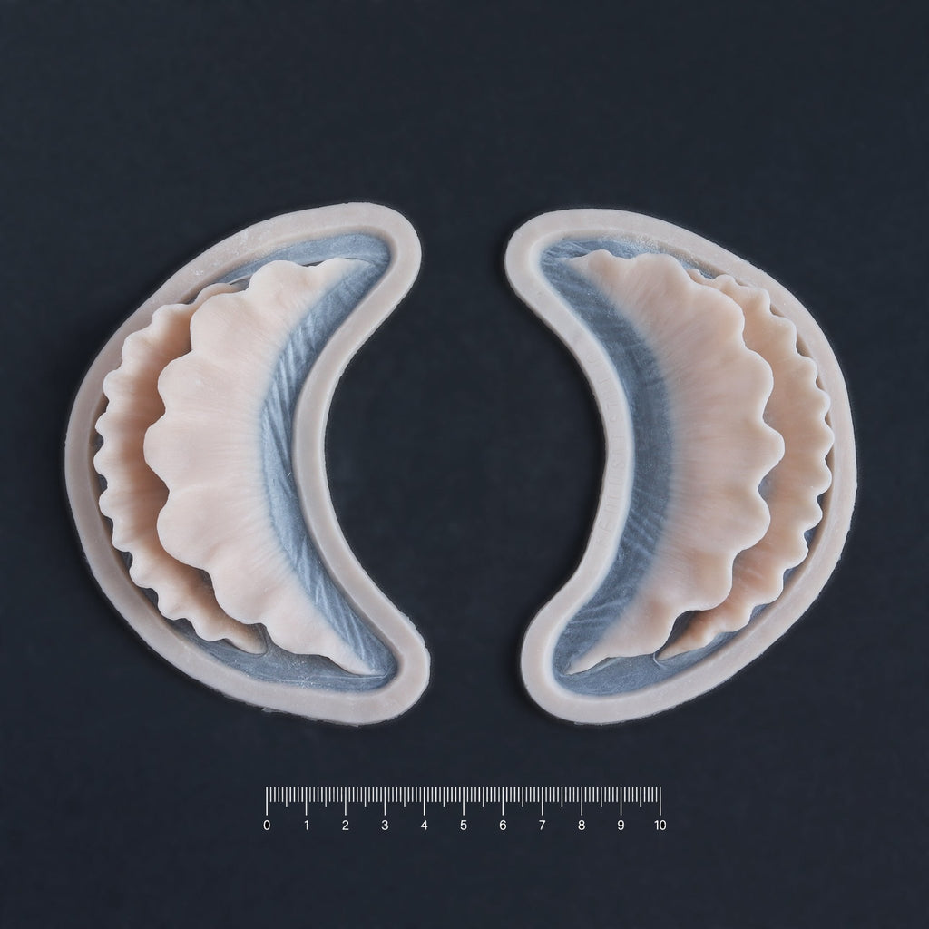 Ruffle Gills (Pair) - Silicone makeup prosthetic in vanilla shade on a black surface with a ruler