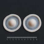 Single Subdermal Horns (Pair) - Silicone makeup prosthetic in vanilla shade on a black surface with a ruler