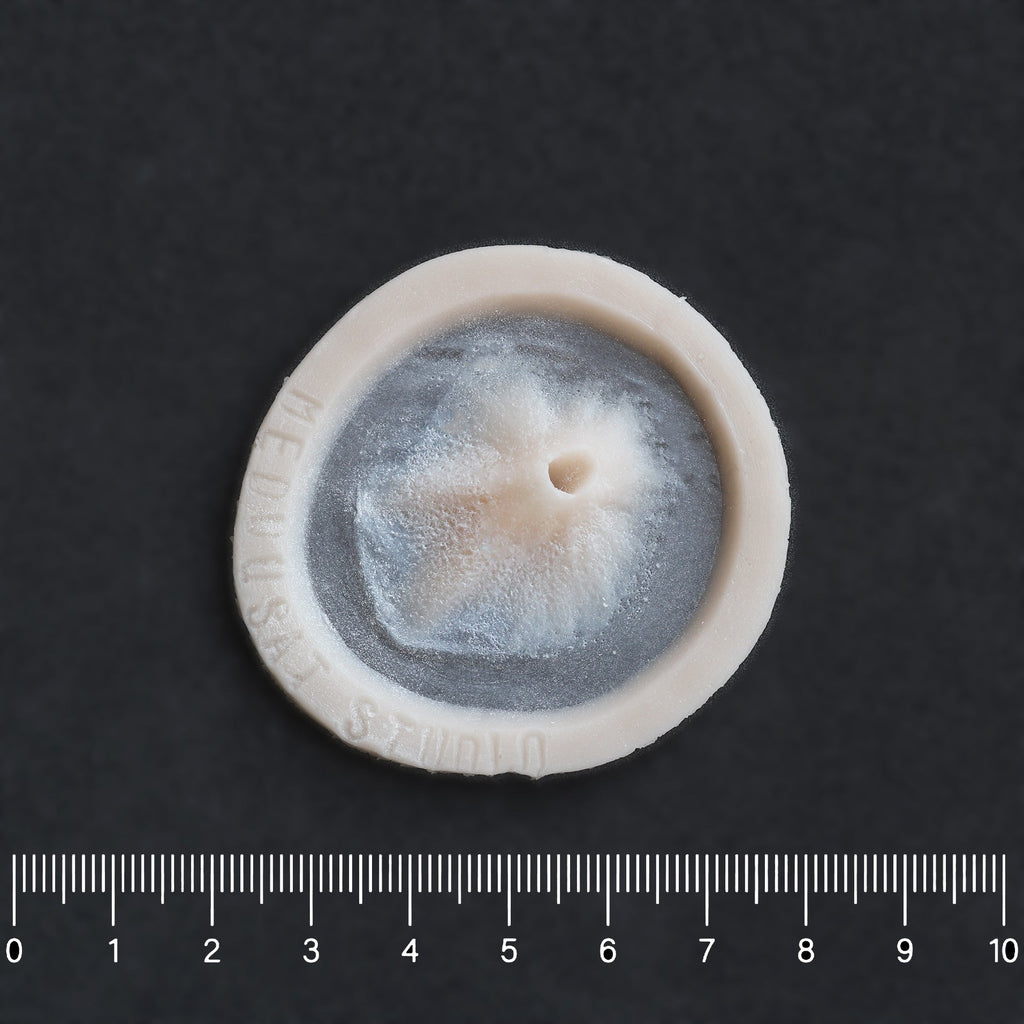 Skin Pocket 2 - Silicone makeup prosthetic in vanilla shade on a black surface with a ruler