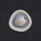 Skin Pocket 1 - Silicone makeup prosthetic in vanilla shade on a black surface