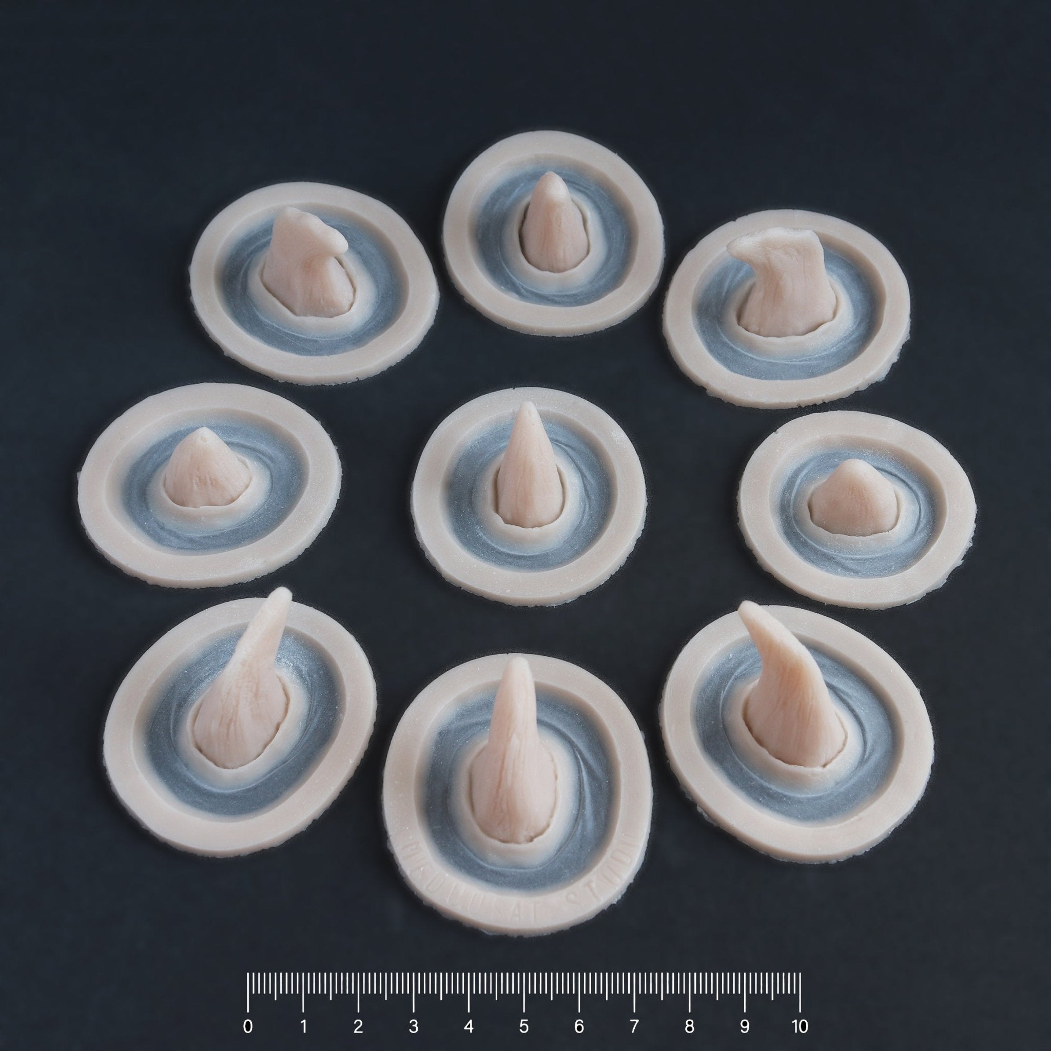 Small Horns Set - Silicone makeup prosthetic in vanilla shade on a black surface with a ruler