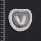Stretched Piercing - Silicone makeup prosthetic in vanilla shade on a black surface with a ruler