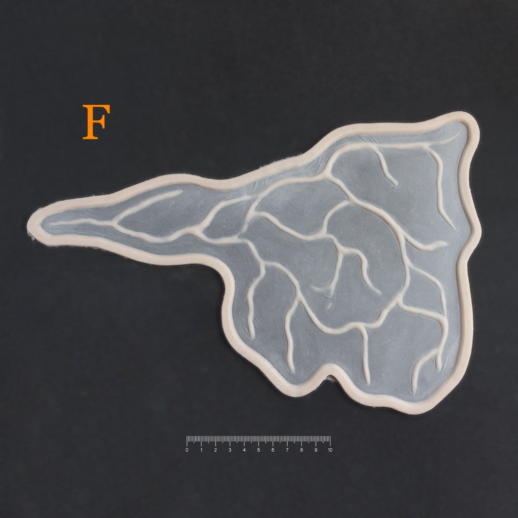 Superficial Cranial Veins F - Silicone makeup prosthetic in vanilla shade on a black surface with a ruler