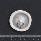 Surface Piercing - Silicone makeup prosthetic in vanilla shade on a black surface with a ruler