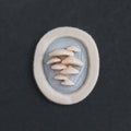 Vertical Bracket Fungi - Silicone makeup prosthetic in vanilla shade on a black surface