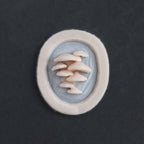 Vertical Bracket Fungi - Silicone makeup prosthetic in vanilla shade on a black surface