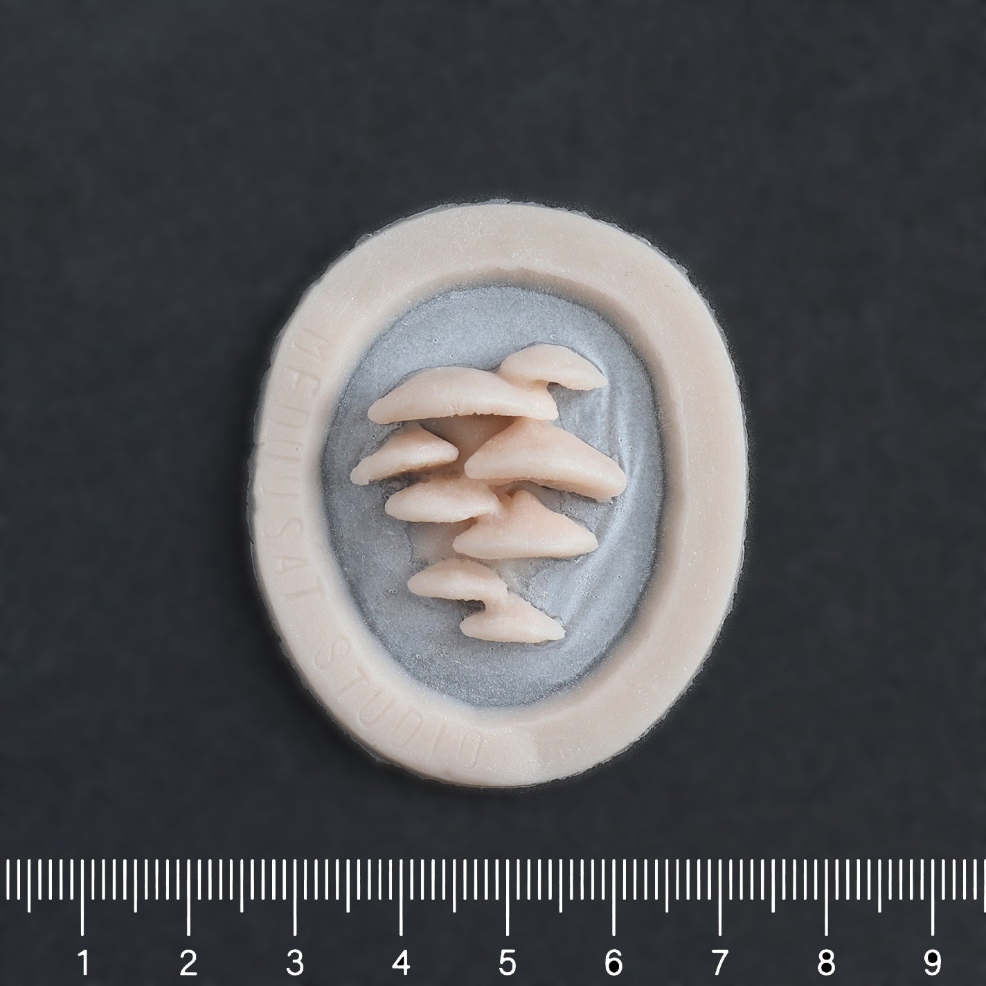 Vertical Bracket Fungi - Silicone makeup prosthetic in vanilla shade on a black surface with a ruler