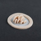 Vertical Bracket Fungi - Silicone makeup prosthetic in vanilla shade on a black surface
