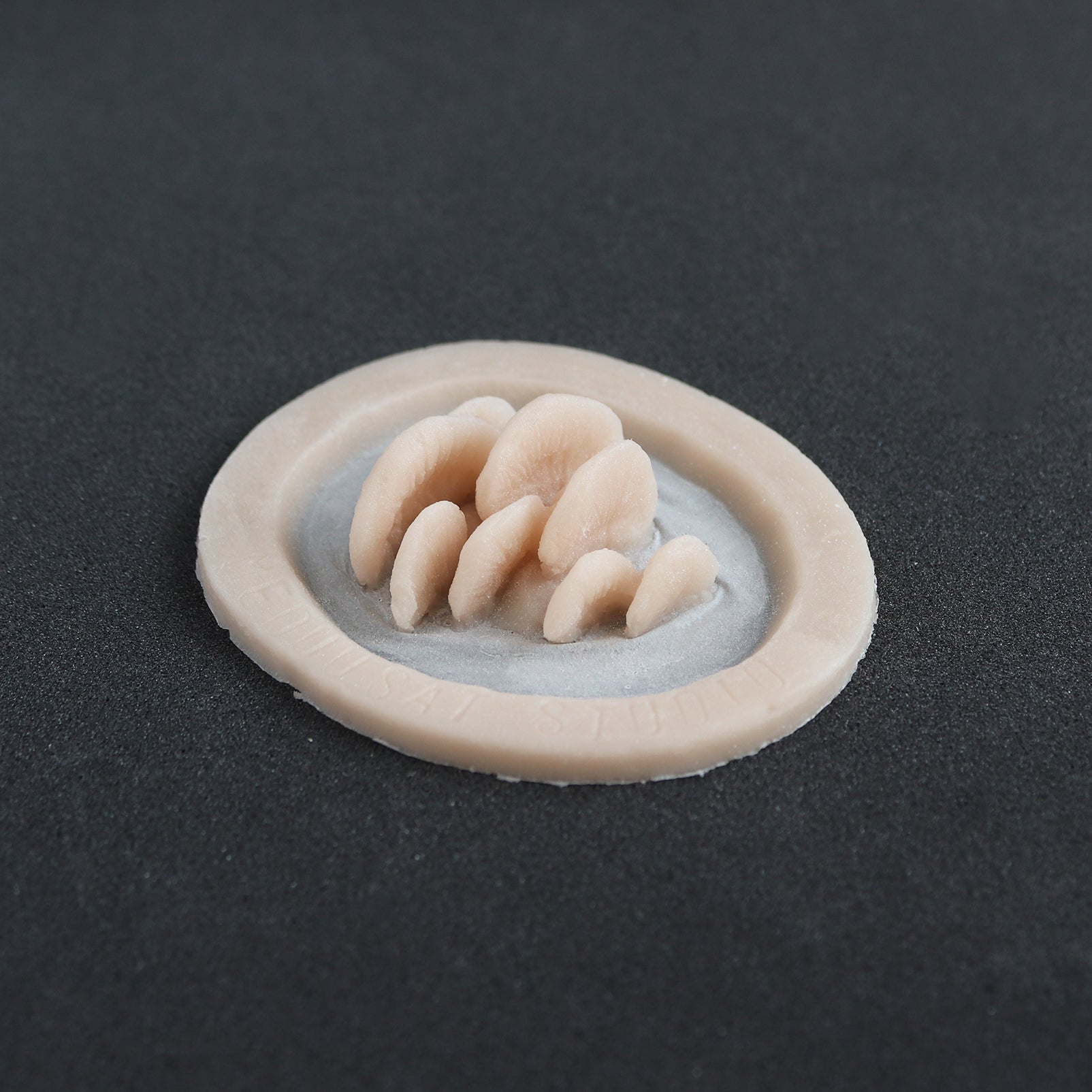 Vertical Bracket Fungi - Silicone makeup prosthetic in vanilla shade on a black surface