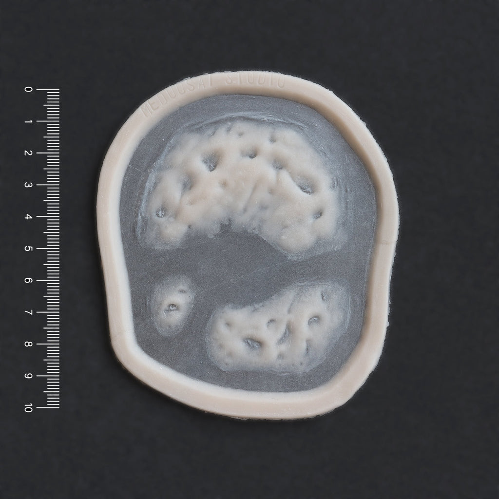 Zombie Bite 2.0 - Silicone makeup prosthetic in vanilla shade on a black surface with a ruler