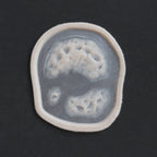 Zombie Bite 2.0 - Silicone makeup prosthetic in vanilla shade on a black surface