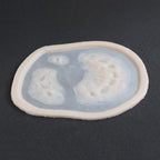 Zombie Bite 2.0 - Silicone makeup prosthetic in vanilla shade on a black surface