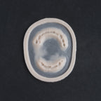 Zombie Bite - Silicone makeup prosthetic in vanilla shade on a black surface